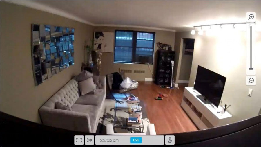 Установка видеонаблюдения в квартире во время отпуска 